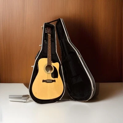 Guitar Fernandes PALISADE DC50N Acoustic Guitar w/hardcase See All Photos - Image 1 of 4