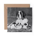 1 x Blank Greeting Card BW - St Bernard Dog Puppies Puppy Cute #43470
