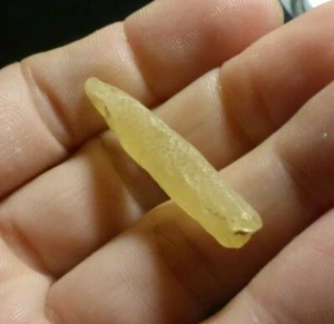 O&co Fossile pipe belemnite Coober Pedy australie collection cadeau noël 8.80ct - Imagen 1 de 2
