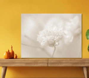 Beige Natural Dry Flower 5mm thick Plastic Poster Ready to Hang 60x45cm - Picture 1 of 3