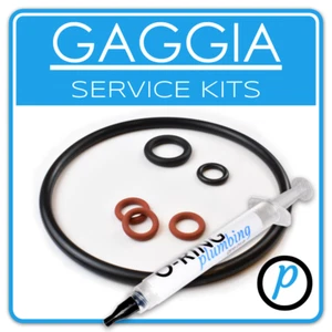 GAGGIA Classic / Baby / Evolution O-Ring seal SERVICE KIT + OPTIONAL GREASE - Picture 1 of 1