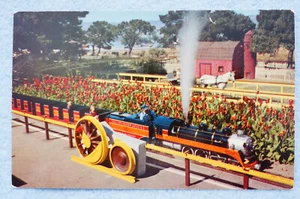 The Oakland Acorn - Peralta Playland - Oakland, California - Picture 1 of 2