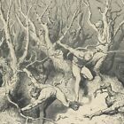 Les Suicidés Fuient La Forêt Enfer Dante Alighieri Gravure Gustave Doré Xixe