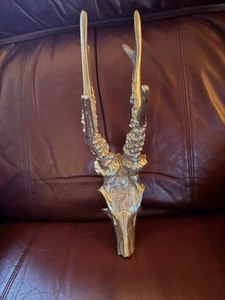 Cast Aluminum Deer Skull With Antlers Buck Wall Hanging Decor Reindeer - Picture 1 of 7