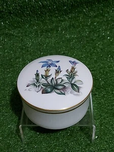 Royal Worcester Fine Bone China Trinket Pot & Lid Vintage Retro Blue Flower C51 - Foto 1 di 4