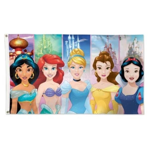 BANDERA DE LUJO BLANCA COMO LA NIEVE CENICIENTA ARIEL HERMOSA PRINCESA JAZMÍN DISNEY 3'X5' - Imagen 1 de 1