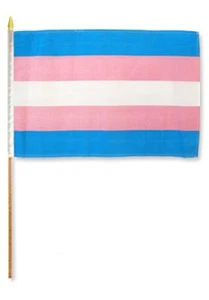 1 Dozen Transgender Flags 12x18in Stick Flag Trans Pride LGBT Pride Flag - Picture 1 of 1