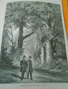 Gravure 1861 - Promenade de l'Empereur dans la forêt de Fontainebleau - Foto 1 di 1