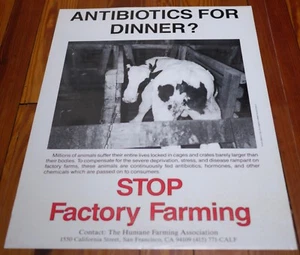 Vtg Humane Farming STOP FACTORY FARMING Vegan Animal Rights Activist POSTER - Picture 1 of 5