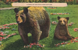 Michigan Mama Bär mit Jungtier um 1930 Postkarte L483 - Bild 1 von 2