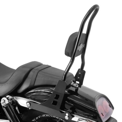 Sissy Bar CSL für Harley-Davidson Dyna Fat Bob 10-17 schwarz - Bild 1 von 4