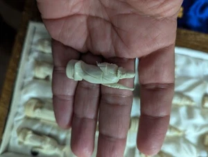 Vintage Asian Chinese Warrior Hand Carved  Bone Wood Chess Set in Box Complete  - Picture 1 of 8