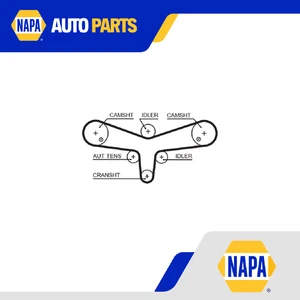 Timing Belt fits CITROEN C6 2.7D 05 to 11 Gates 0816H0 0816K2 9X2Q6K288BA New - Picture 1 of 7