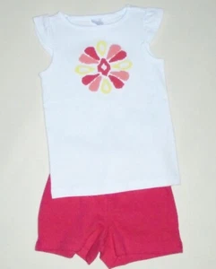 NWT Gymboree Girls Size 4 Summer Shorts and Flower Tee NEW - Picture 1 of 3
