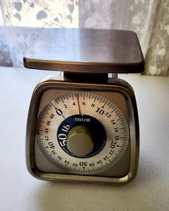 KITCHEN SCALE Taylor 50 lbs. Heavy-Duty Stainless Steel Portion Mechanical Dial - Picture 1 of 11