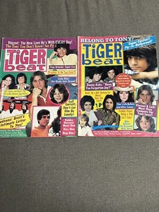 Tiger Beat, 16, Teen Bag Magazines Lot Of 8 - Bild 1 von 5