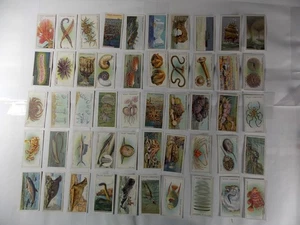 Juego completo de 50 tarjetas de cigarrillo Wills Wonders of the Sea 1928 - Imagen 1 de 10