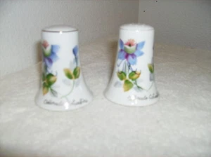 VINTAGE SOUVENIR "HOUSE" CERANIC SALT & PEPPER SHAKERS .from .UTAL ..... - Picture 1 of 6