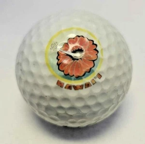 Hawaii State Flower Print Logo Golf Ball (Nike TI Velocity) ~ AAA - Picture 1 of 6