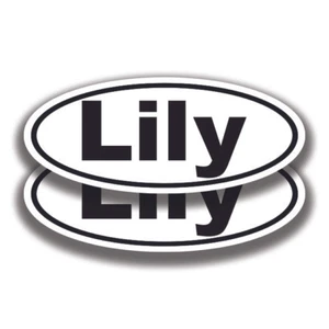 LILY NAME DECALs 2 Stickers Bogo Car Truck Bumper Window - Picture 1 of 1