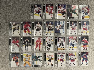 2021-22 Upper Deck Series 1 Hockey Cards Variety
