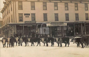Foto cartolina copia Hillsboro NH New Hampshire vetrine - Foto 1 di 2