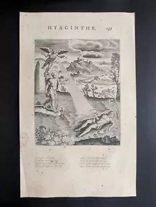 Hyacinthe, Images des deux Philostrates, Isaac, Stampa 1615 - Picture 1 of 8
