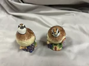Agitadores de sal y pimienta pintados a mano para aves codornices C - Imagen 1 de 8