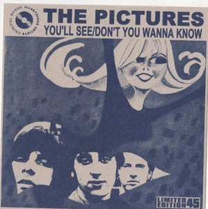 THE PICTURES Youll See 7" VINYL 2001 AUSSIE INDIE ROCK You Am I - Picture 1 of 1