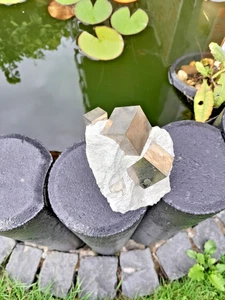 Pyrit Stufe mit 3 Würfel im Muttergestein aus Navanju, Steinbruch in Spanien - Bild 1 von 3