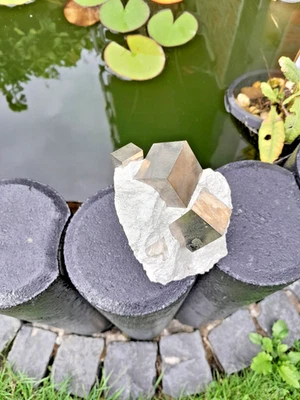 Pyrit Stufe mit 3 Würfel im Muttergestein aus Navanju, Steinbruch in Spanien - Bild 1 von 3