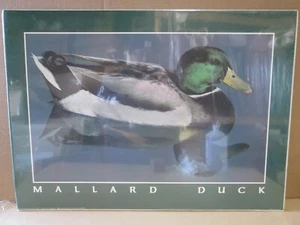 MALLARD DUCK 1985 VINTAGE POSTER CNG3145 - Picture 1 of 5