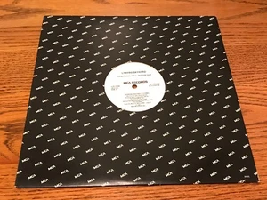 LYNYRD SKYNYRD PROMOTIONAL 12-INCH GEORGIA PEACHES - RARE!   1987 - Picture 1 of 6