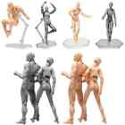 Figma She/he S.H.Figuarts Chan KUN BODY SET PVC Action Figure Model with Stand