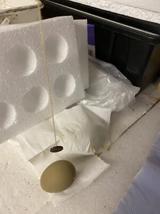 MAGNETIC Gender/ fertility Tester FOR HATCHING EGGS DAY OLD ChicS & POULTRY✅ - Picture 1 of 8