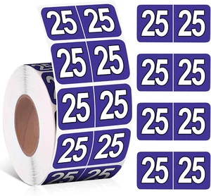 500 Pcs 2025 Year Stickers File Folder Labels Self Adhesive Year Labels - Picture 1 of 7
