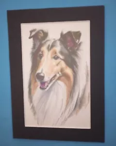 5" x 7" Matted 4" x 6" Print of Portrait Painting of a Tricolored Collie Dog - Picture 1 of 3