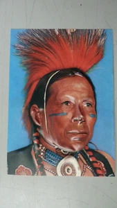 Z 515   GADGET INDIEN NEZ ABIME  PIF GADGET EN L ETAT - Picture 1 of 3