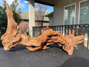 PRE-SOAKED DRIFTWOOD AQUARIUMS FISH RIPTILES DECORATION PET SUPPLIES ART GARDEN - Picture 1 of 4