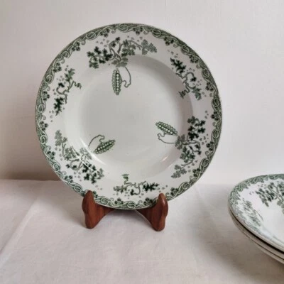 Assiettes Creuses Décor Modern Style Saint Amand Hamage Terre De Fer - Photo 1/4