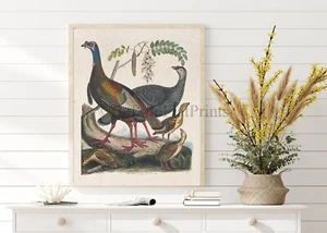 Poster Print Wild Turkey Male Female and Poults Thanksgiving Decor Wall Art - Picture 1 of 4