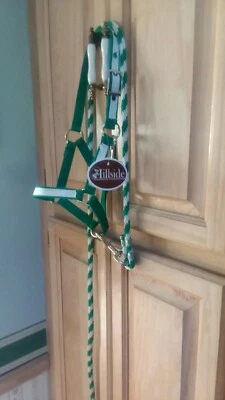 Nuevo Nylon Halter Potro Caballo Mini Pony Kelley Verde con Superposición Blanca con Plomo Foto 1 de 2