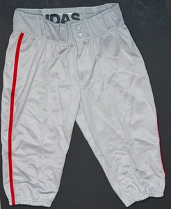 Adidas, Icon Pro Knicker Baseballhose, grau/rot paspeliert. Jugend groß - Bild 1 von 5