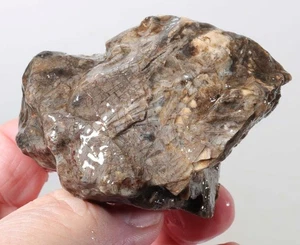 Chop Stick Agate lapidary cabbing 6.6 oz rough lot M3 - Picture 1 of 20