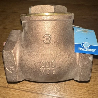 EVERFLOW Brass 3" Threaded Swing Check Valve  200 PSI WOG - Image 1 of 3