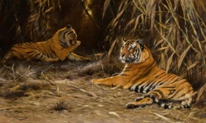 Pintura al óleo repro Friedrich Wilhelm Kuhnert - Tigres en la selva - Imagen 1 de 1
