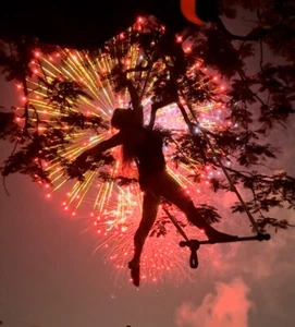 Trapeze for Aerial Dancing,Yoga, Home Fitness - Petite - Picture 1 of 4
