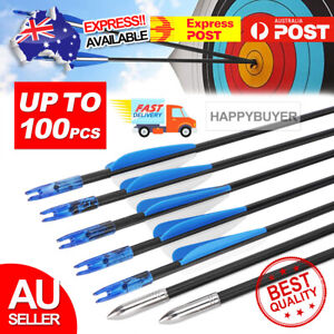 10-100 31" Fiberglass Arrows Archery Hunting Target Compound Bow Fiber Glass Bow