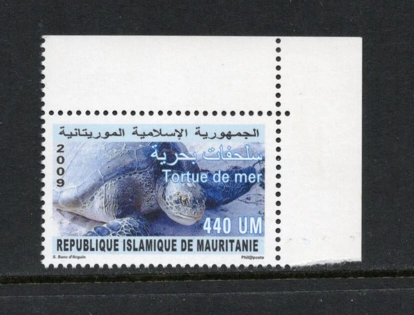 R8017 Mauritania 2009 tortuga marina 1v.  MNH Foto 1 de 1