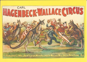 Australia 2004 Postcard Boxing Kangaroo feature in Carl-Hagenbeck Wallace poster - Bild 1 von 2